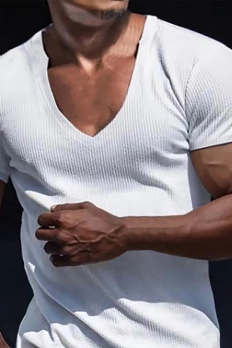 Muška majica LERONLI WHITE, Boja: bela, IVET.BA - Nova Kolekcija